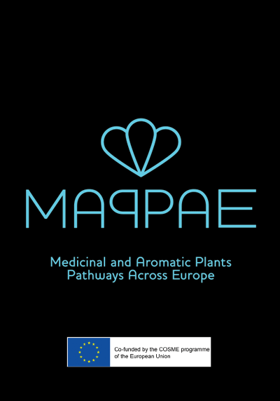 MAPPAE